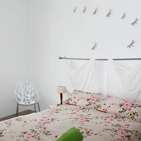 Apartment Apartamento Rodriguez